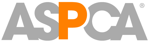 Wanderlust By Abby NEW Round Up For ASPCA 3 Wanderlust By Abby NEW Round Up For ASPCA