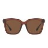 Wanderlust By Abby Diff Bella Chestnut Sunglasss