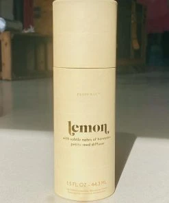 Wanderlust By Abby Diffuser Sticks + Oil NEW