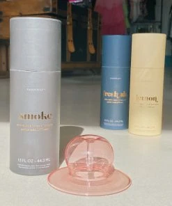 Wanderlust By Abby Diffuser Sticks + Oil NEW