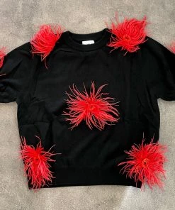 Queen Of Sparkles Black & Red Short Sleeve Sweater