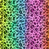 Wanderlust By Abby NEW Rainbow Animal Print Wrapping Paper