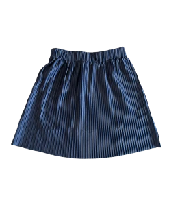 Wanderlust By Abby Pleated Mini Skirt