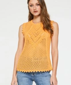 Wanderlust By Abby Trisha Mesh Top